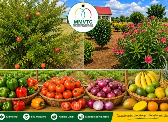 mmvtc2